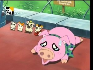 Hamtaro Epizóda 66
