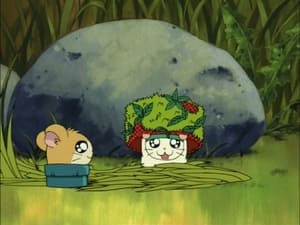 Hamtaro Epizóda 81