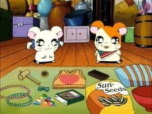Hamtaro Epizóda 77