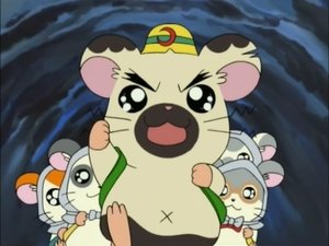 Hamtaro Epizóda 103