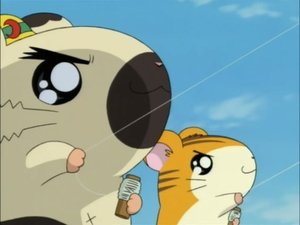 Hamtaro Epizóda 79