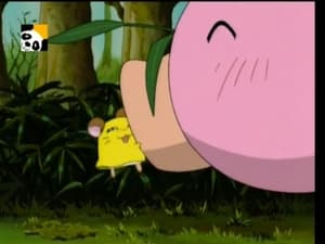 Hamtaro Epizóda 74