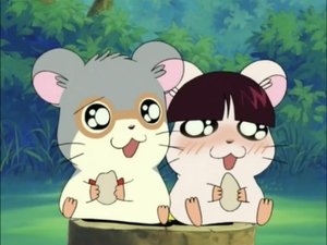Hamtaro Epizóda 93