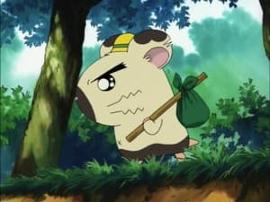 Hamtaro Epizóda 91