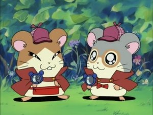 Hamtaro Epizóda 98
