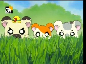 Hamtaro Epizóda 59