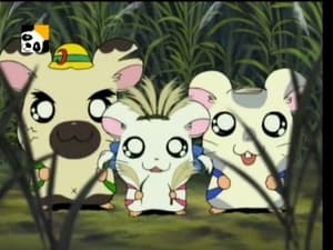 Hamtaro Epizóda 73