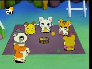 Hamtaro Epizóda 72