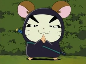 Hamtaro Epizóda 88
