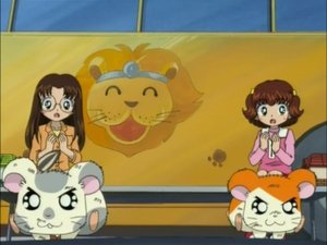 Hamtaro Epizóda 99
