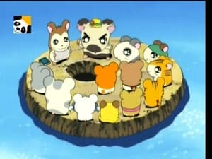 Hamtaro Epizóda 61