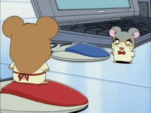 Hamtaro Epizóda 102