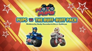 Labková patrola Moto-Labky: Labky vs Haf-Haf klan
