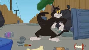 Nové dobrodružstvá Toma a Jerryho Epizóda 72