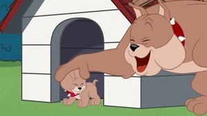 Nové dobrodružstvá Toma a Jerryho Epizóda 4