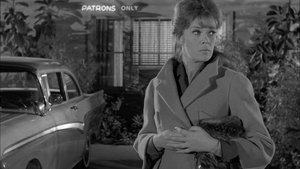 Perry Mason Epizóda 14
