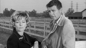 Perry Mason Epizóda 11