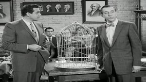 Perry Mason Epizóda 11