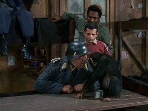 Hogan's Heroes Epizóda 29