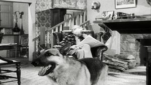 Perry Mason Epizóda 35