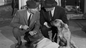 Perry Mason Epizóda 17