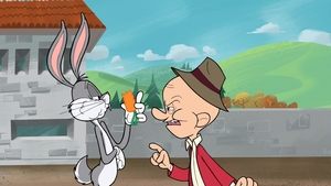 New Looney Tunes Epizóda 91