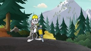 New Looney Tunes Epizóda 102