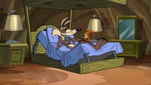 New Looney Tunes Epizóda 78