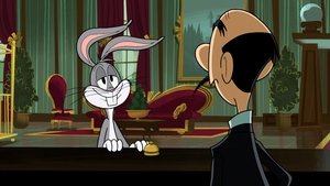 New Looney Tunes Epizóda 98