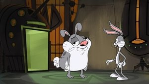 New Looney Tunes Epizóda 56