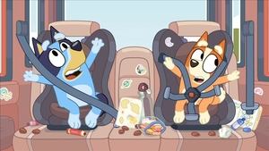 Bluey Epizóda 8