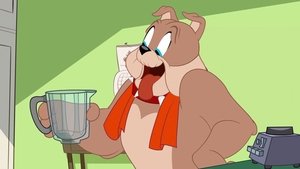 Nové dobrodružstvá Toma a Jerryho Epizóda 8