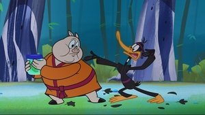 New Looney Tunes Epizóda 40