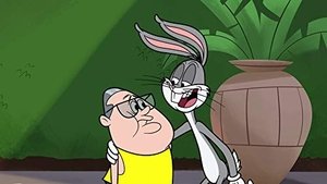New Looney Tunes Epizóda 30