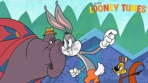 New Looney Tunes Epizóda 88