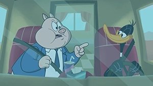 New Looney Tunes Epizóda 23