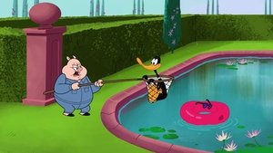 New Looney Tunes Epizóda 38