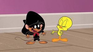 New Looney Tunes Epizóda 100