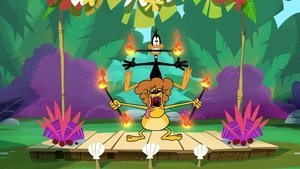 New Looney Tunes Epizóda 84