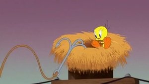 Looney Tunes: Animáky Epizóda 87