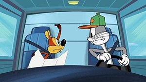 New Looney Tunes Epizóda 35