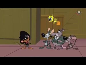 New Looney Tunes Epizóda 99