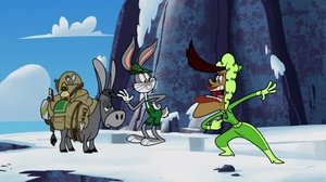 New Looney Tunes Epizóda 80