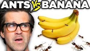Good Mythical Morning Epizóda 80