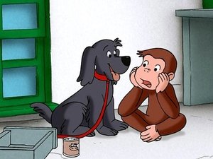 Zvedavý George Epizóda 26