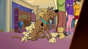 Scooby-Doo, ako sa máš? Epizóda 7
