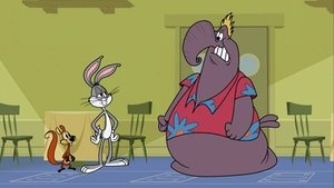 New Looney Tunes Epizóda 56