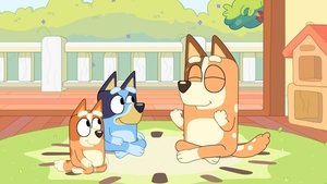 Bluey Epizóda 14