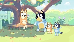 Bluey Epizóda 13