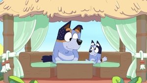 Bluey Epizóda 16